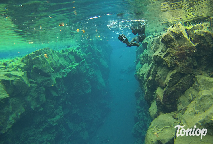 Thingvellir, silfra, Snorkeling, plongée, islande, parc national